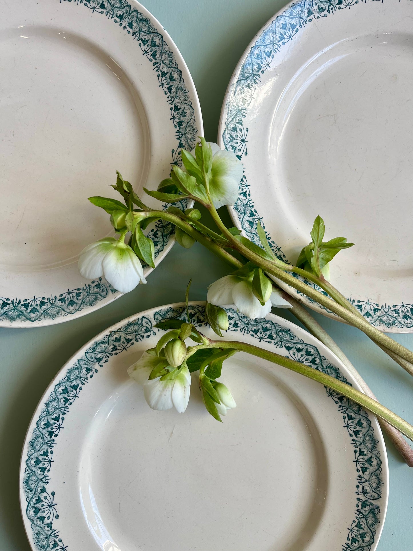 Assiettes plates Longchamp modèle « andré » lot de 3