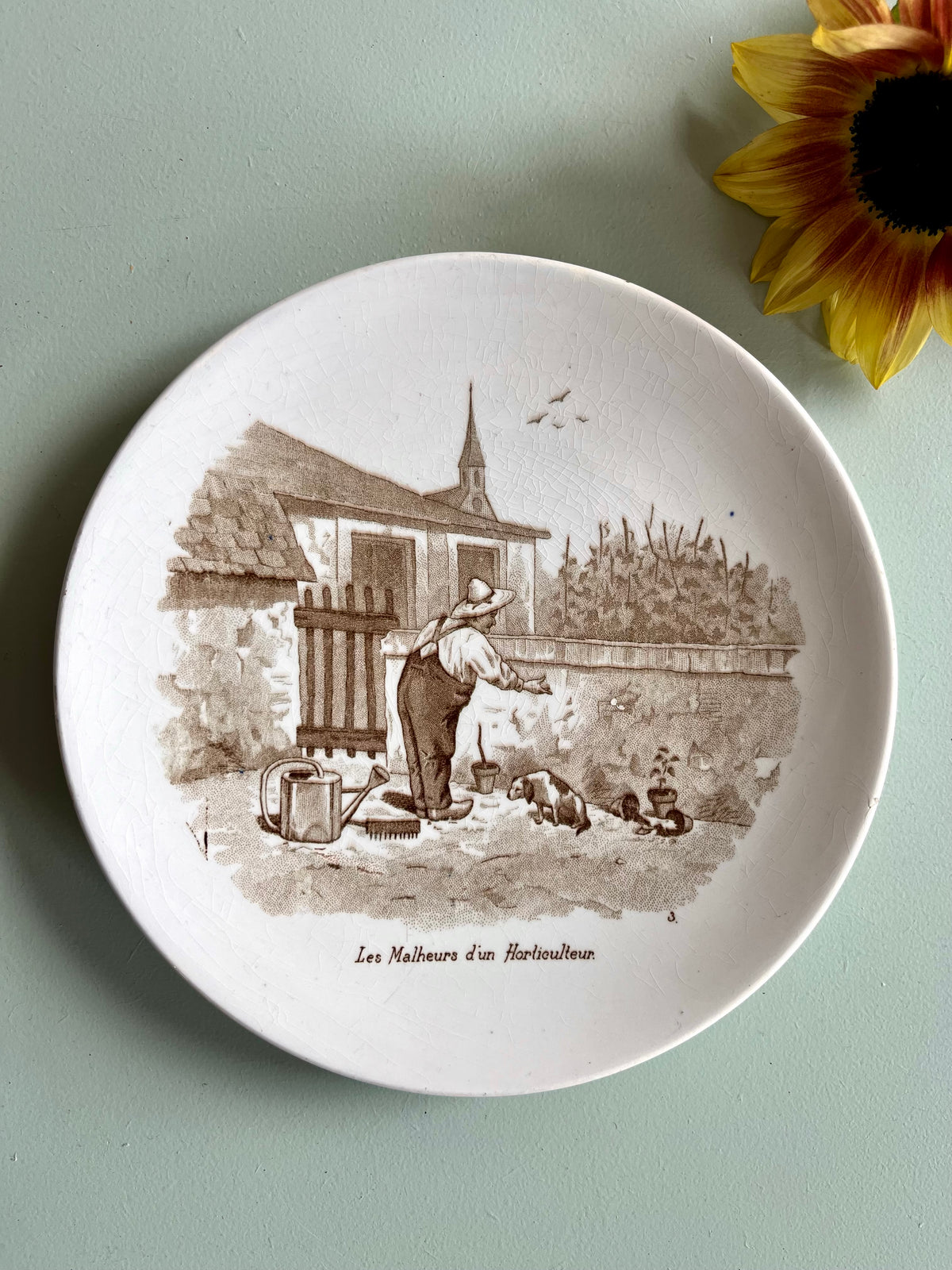 Assiette parlante Sarreguemines – Les malheurs d'un horticulteur  Vaisselle Patine