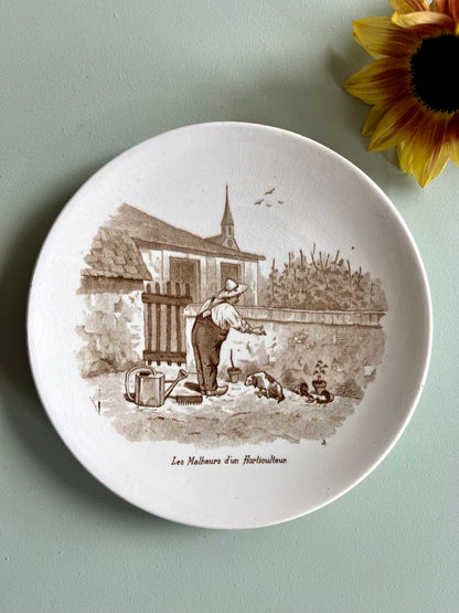 Assiette parlante Sarreguemines – Les malheurs d'un horticulteur  Vaisselle Patine