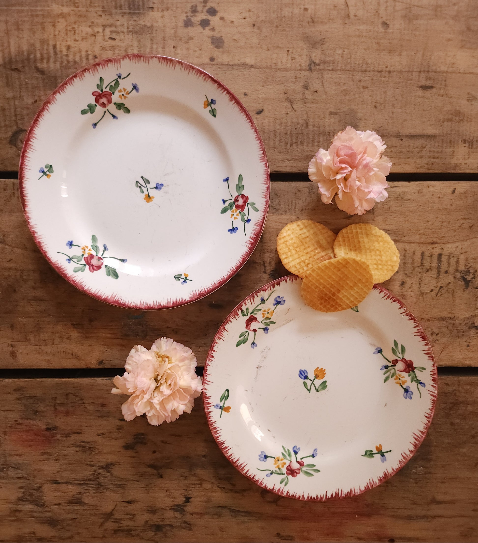 Assiettes plates en céramique Sarreguemines lot de 2   Patine