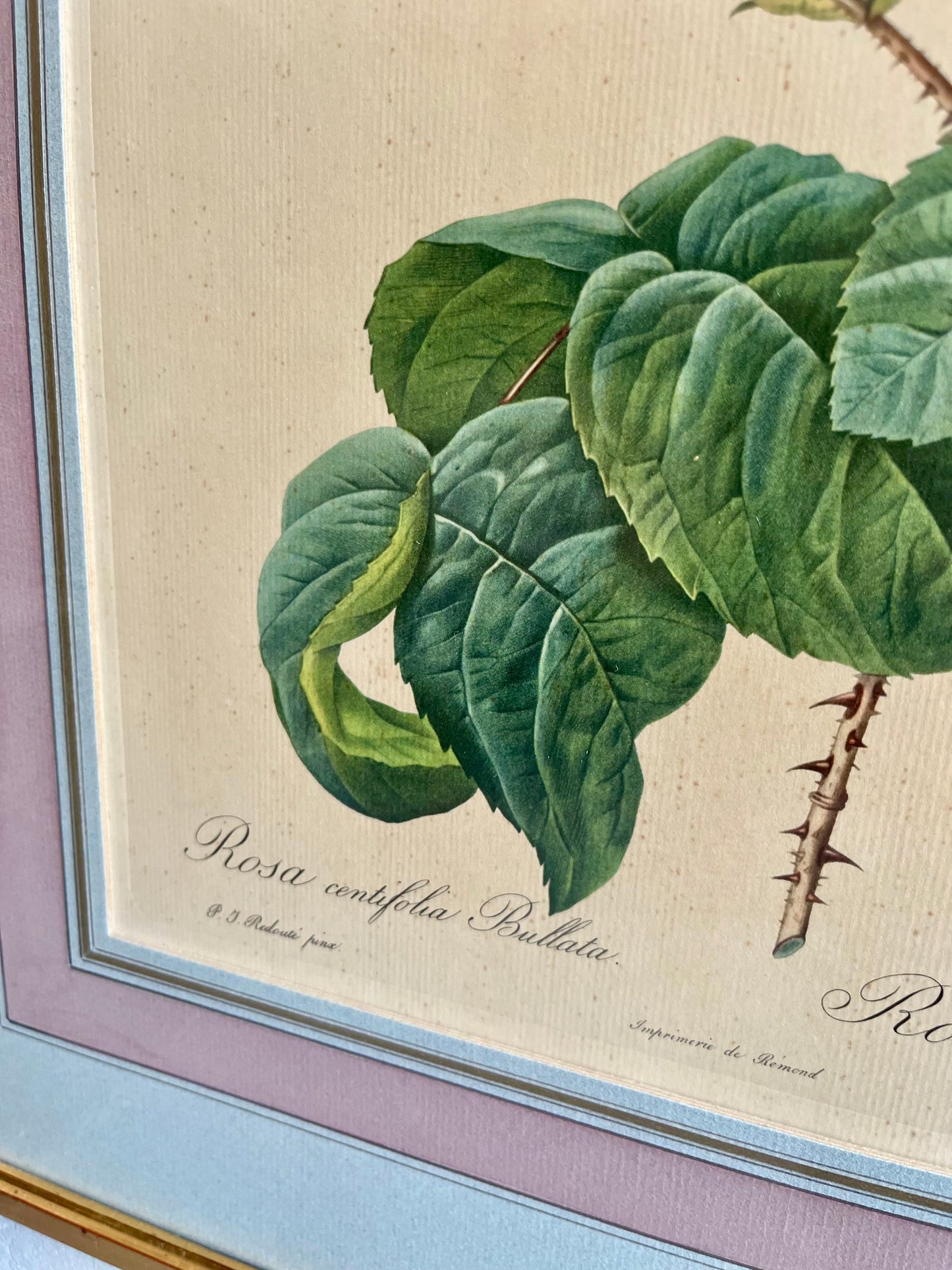 Tableau-lithographie rose encadré