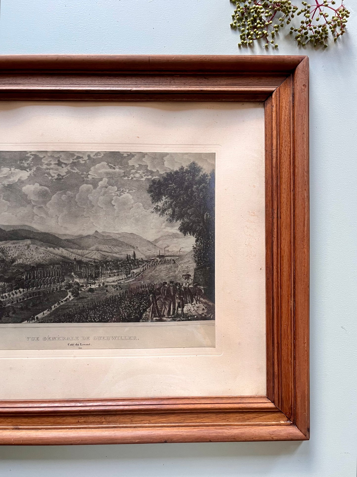 Gravure sous carde « vue générale de Guebwiller »   Patine