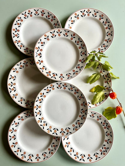 Assiettes plates anciennes Saint-Amand modèle Vannes – Lot de 6  Vaisselle Patine