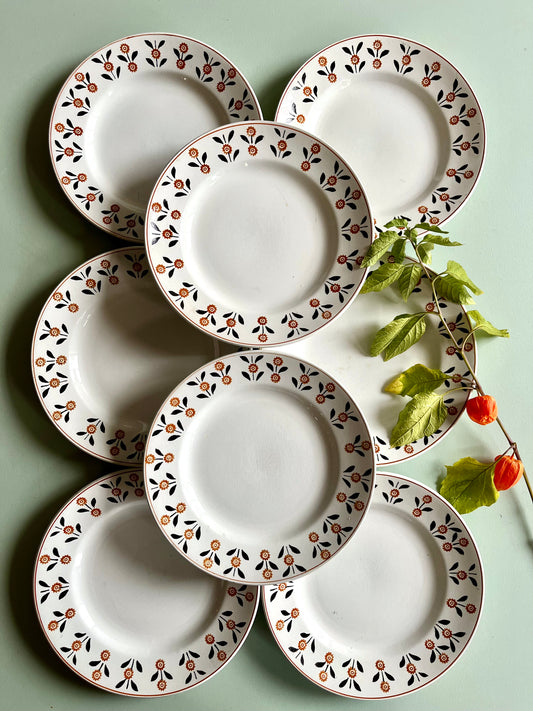 Assiettes plates anciennes Saint-Amand modèle Vannes – Lot de 6  Vaisselle Patine