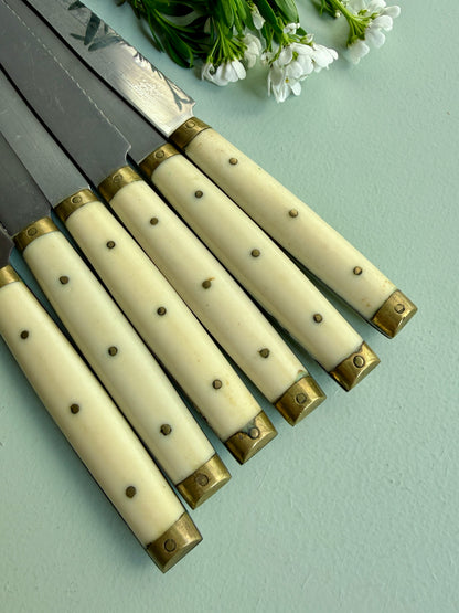 Couteaux LAVinox - lot de 6