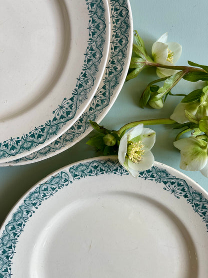 Assiettes plates Longchamp modèle « andré » lot de 3