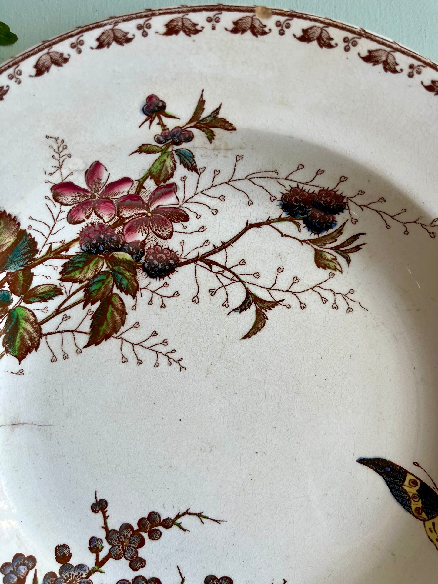 Assiette creuses Sarreguemines modèle « Carmen »