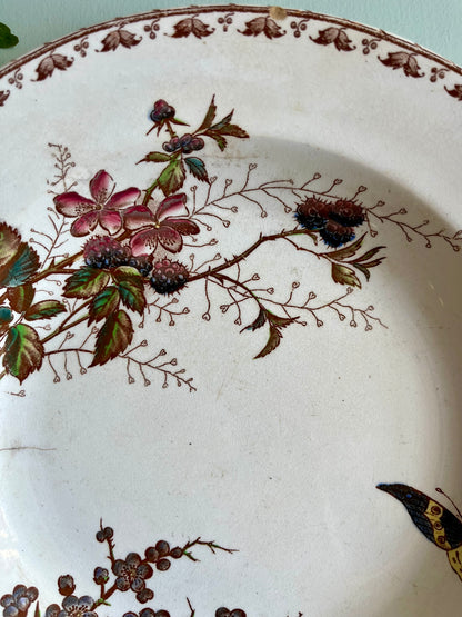 Assiette creuses Sarreguemines modèle « Carmen »