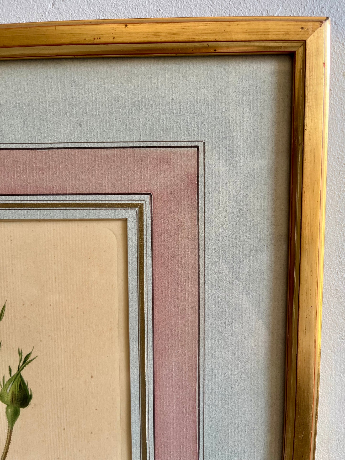 Tableau-lithographie rose encadré