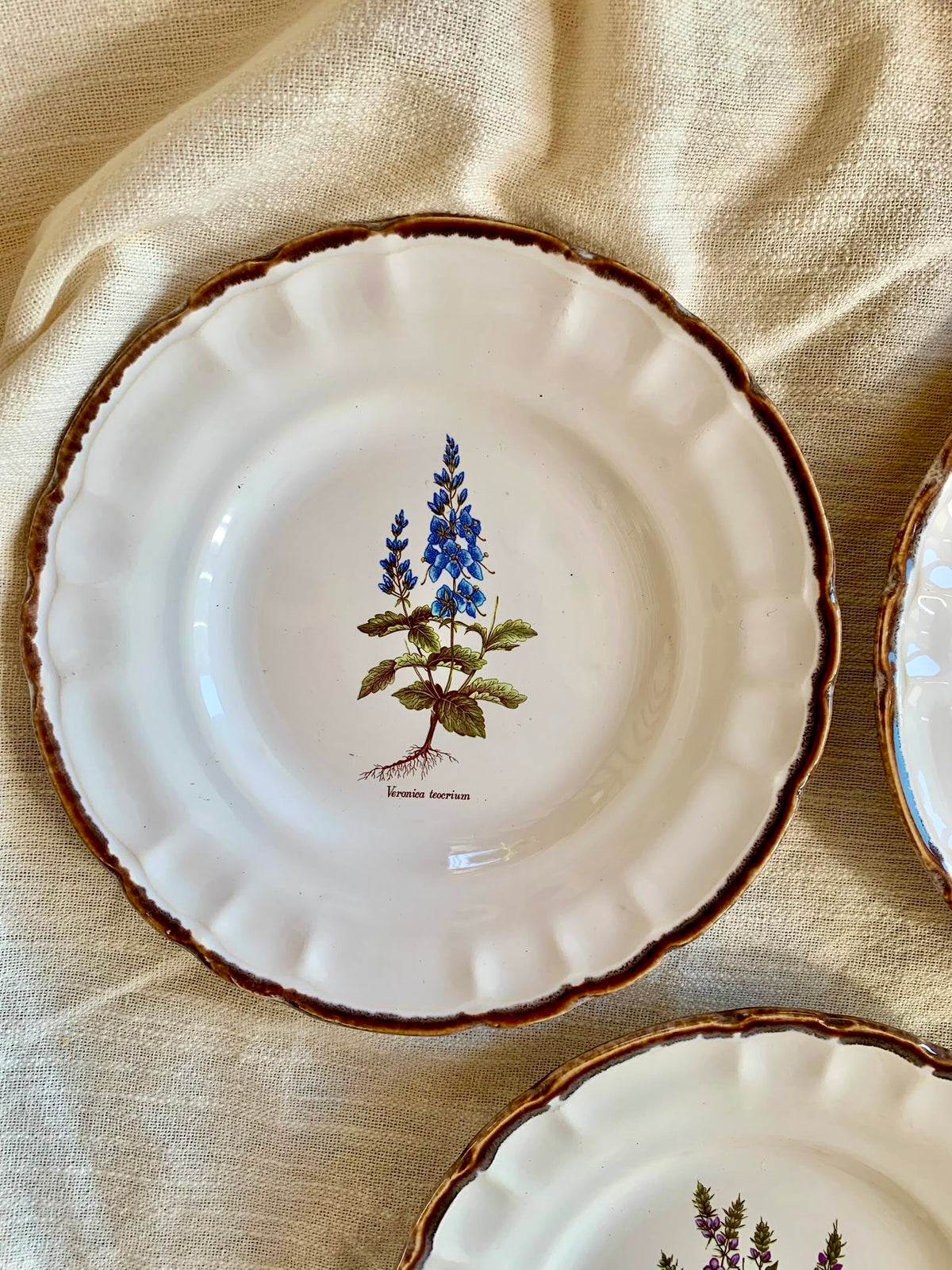 Assiettes botaniques – Faïences de Haute-Provence-lot de 3  Vaisselle Patine