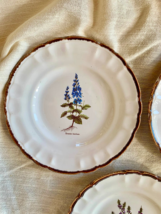 Assiettes botaniques – Faïences de Haute-Provence-lot de 3  Vaisselle Patine