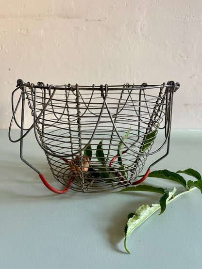 Panier à salade ancien en métal pliable  Décoration Patine