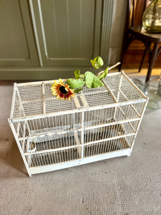 Cage à oiseaux ancienne  Décoration Patine