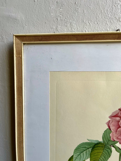 Tableau rosier sous cadre
