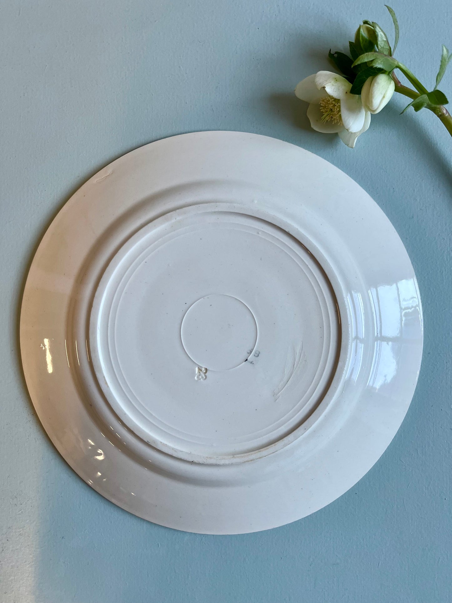 Assiette en faïence vintage motif fleurs bleues-Badonvillier