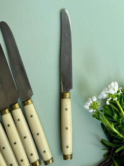 Couteaux LAVinox - lot de 6