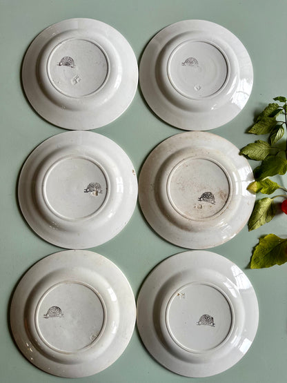 Assiettes anciennes Nouvelles Galeries Paris modèle Robert – Lot de 6  Vaisselle Patine