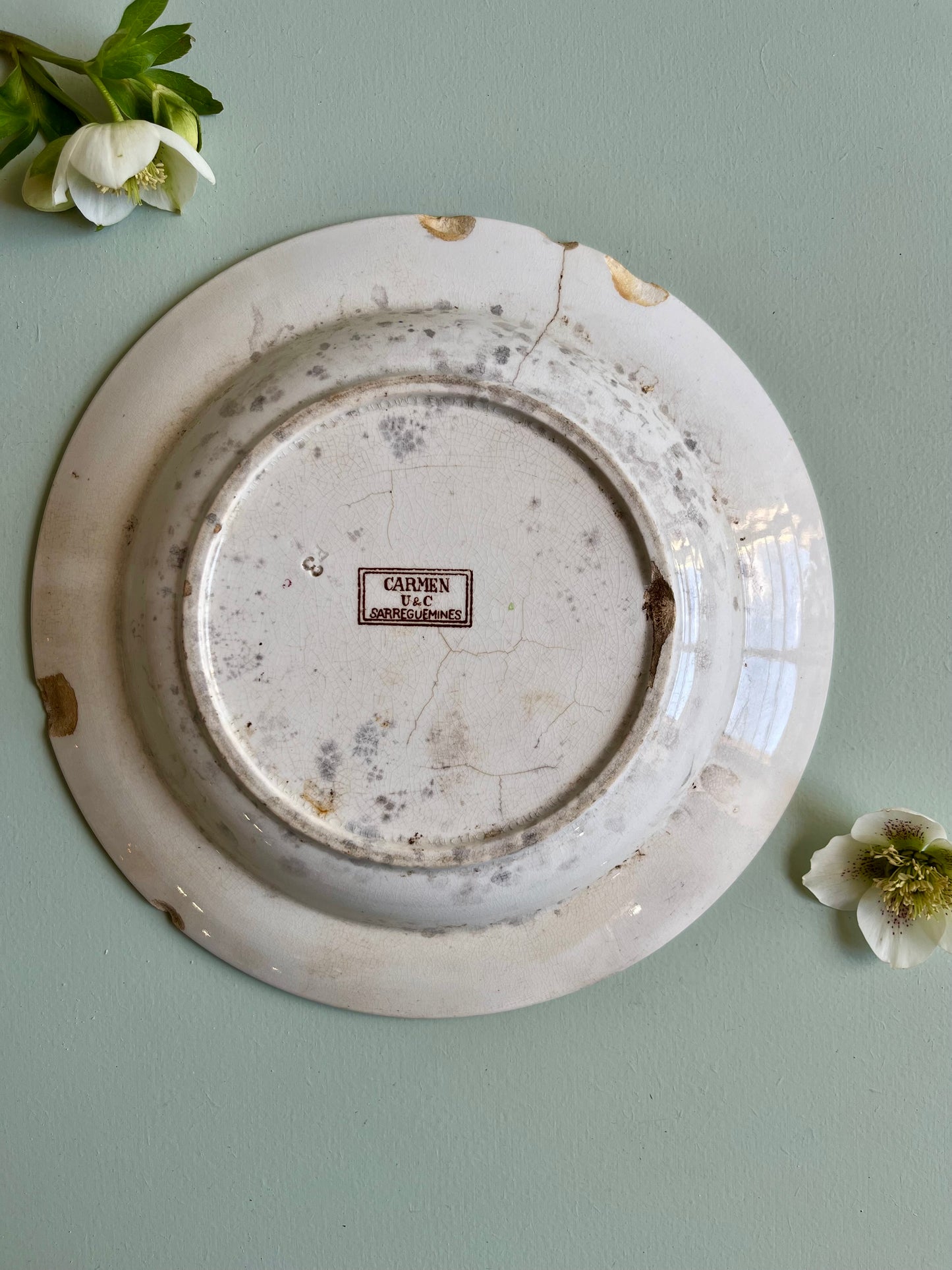 Assiette creuses Sarreguemines modèle « Carmen »