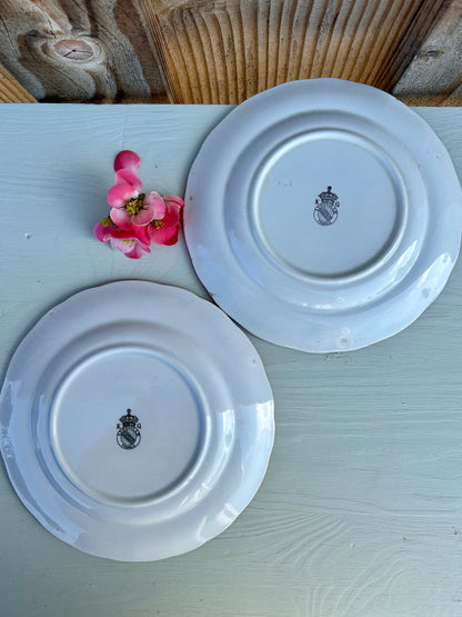 Assiettes à dessert Luneville - lot de 2
