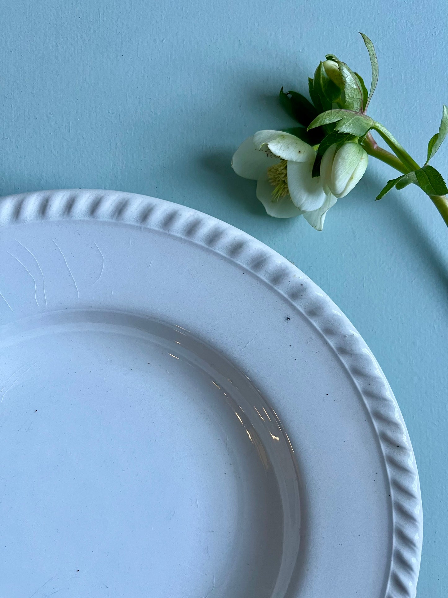 Assiettes creuses en faïence blanche-lot de 2