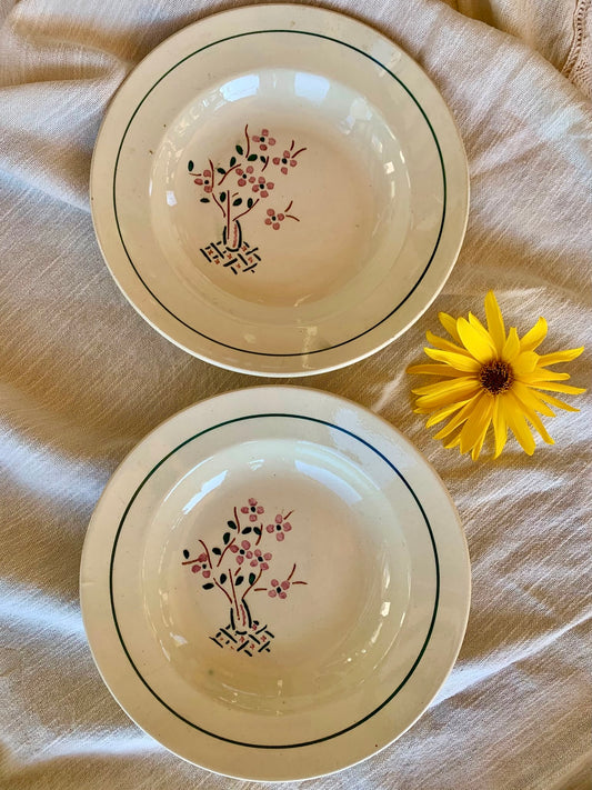 Lot de 2 assiettes creuses anciennes K&G Lunéville  Vaisselle Patine
