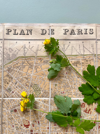 Plan de Paris vintage Hachette 1889
