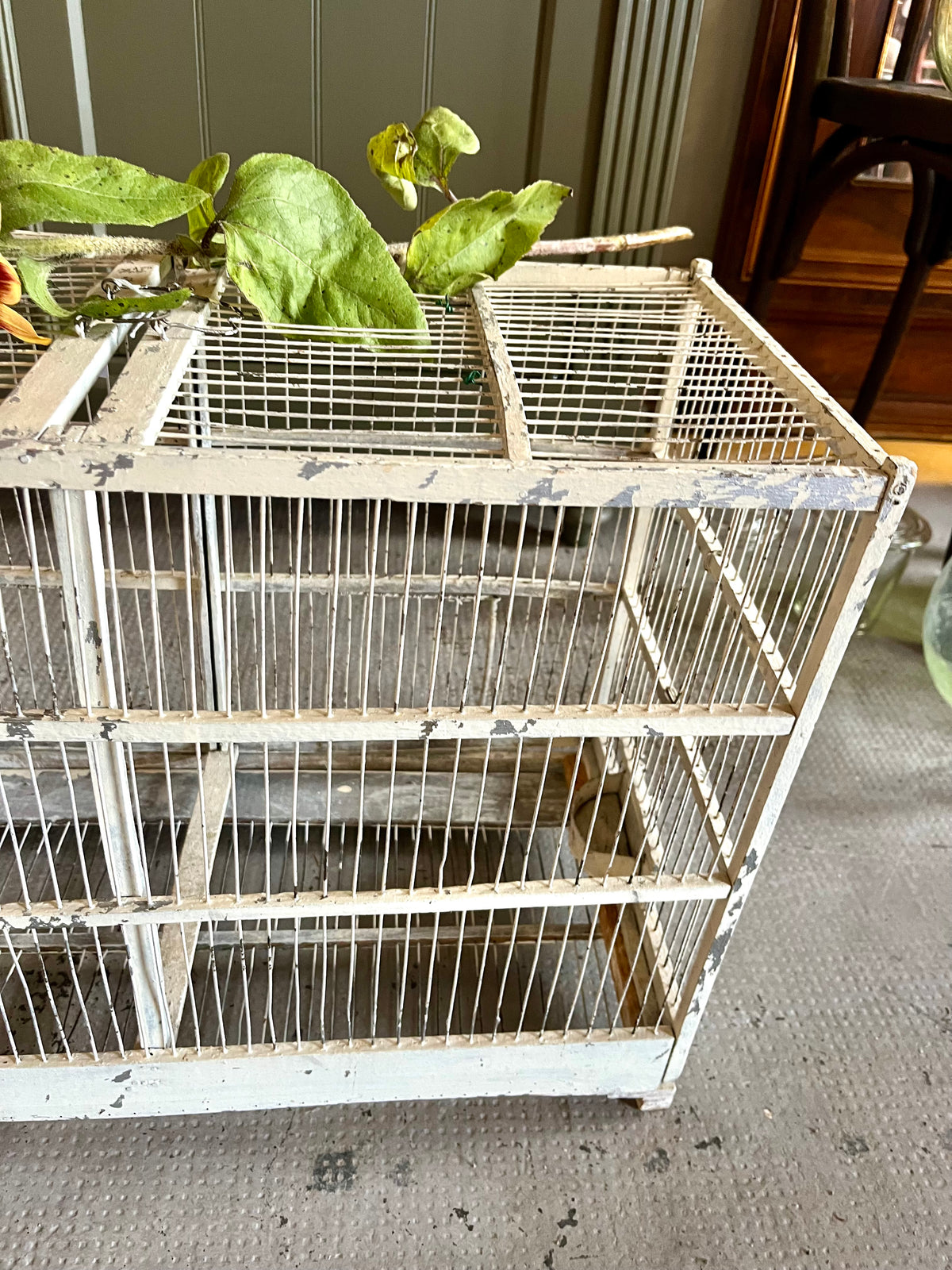 Cage à oiseaux ancienne  Décoration Patine