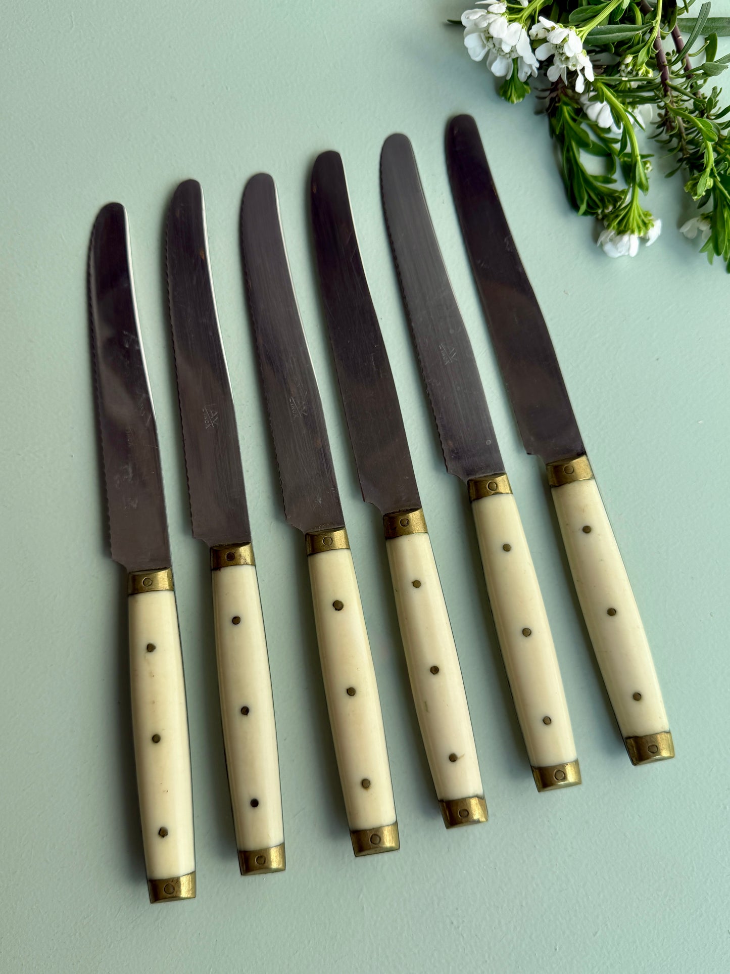 Couteaux LAVinox - lot de 6