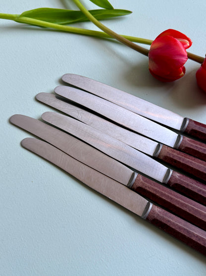 Couteaux inoxydables - lot de 6