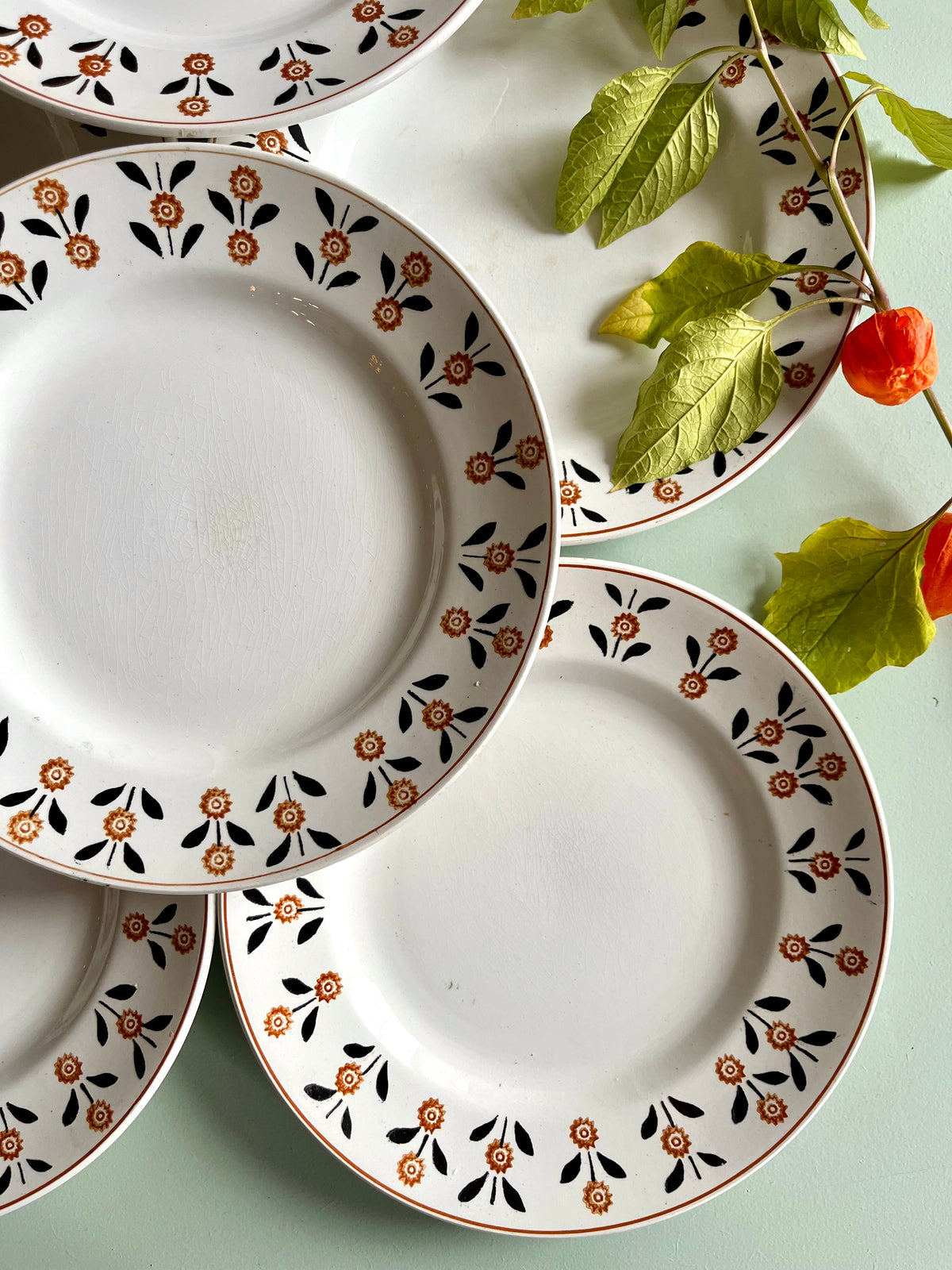 Assiettes plates anciennes Saint-Amand modèle Vannes – Lot de 6  Vaisselle Patine