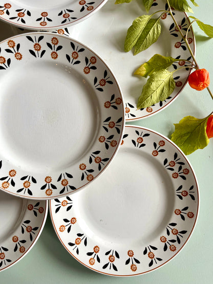 Assiettes plates anciennes Saint-Amand modèle Vannes – Lot de 6  Vaisselle Patine