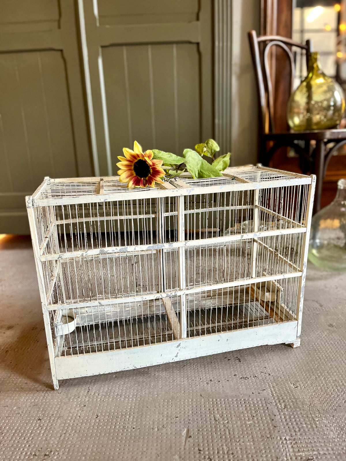 Cage à oiseaux ancienne  Décoration Patine