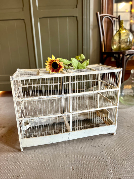 Cage à oiseaux ancienne  Décoration Patine