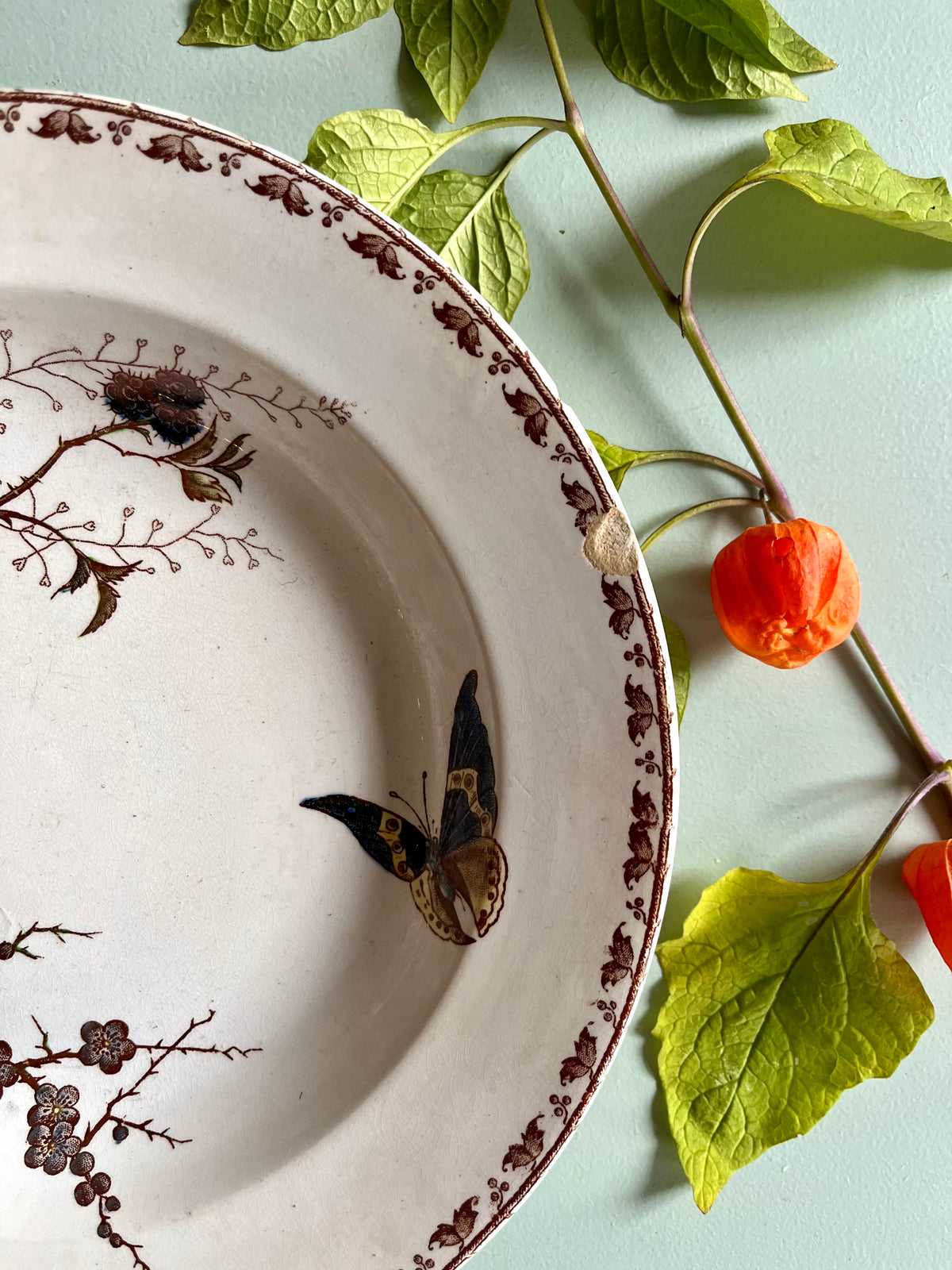 Assiette creuse Sarreguemines modèle Carmen  Vaisselle Patine