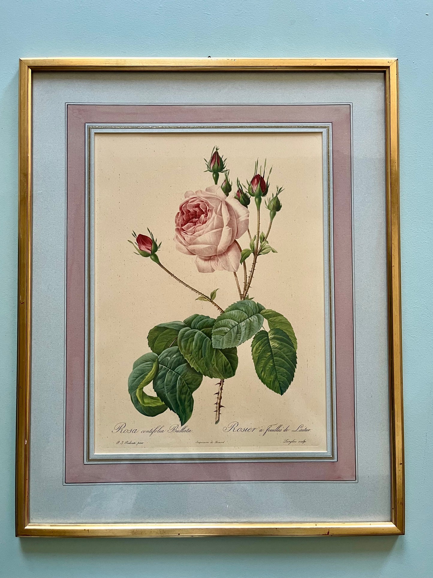 Tableau-lithographie rose encadré