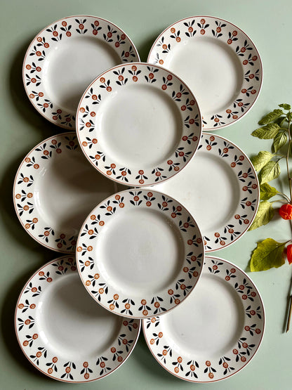 Assiettes plates anciennes Saint-Amand modèle Vannes – Lot de 6  Vaisselle Patine