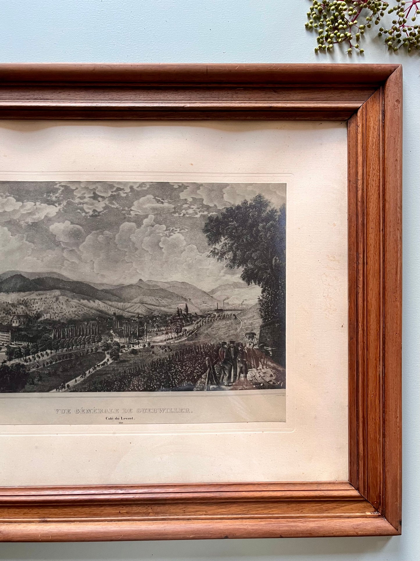 Gravure sous carde « vue générale de Guebwiller »   Patine