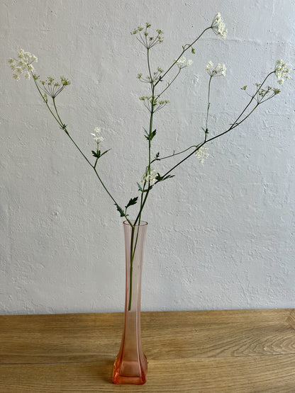 Soliflore en rosaline