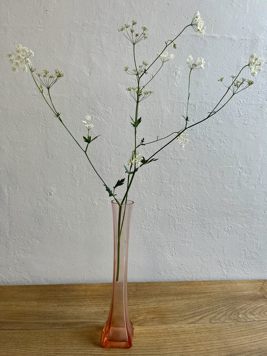 Soliflore en rosaline