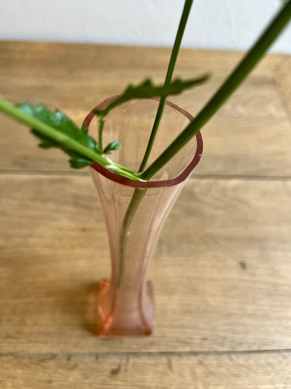 Soliflore en rosaline