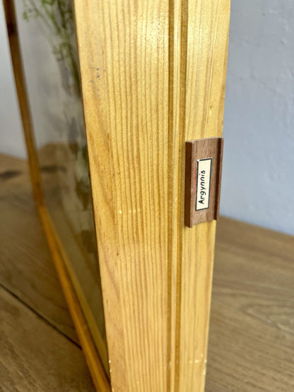 Boîte d’entomologiste/ boîte à papillons