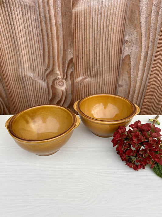 Bols en grès vernissé - lot de 2