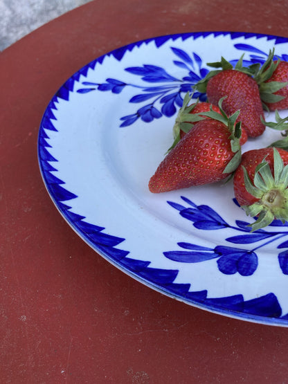 Compotier Sarregumines modèle Yette