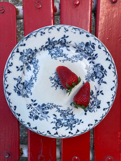 Assiette Sarreguemines Bertha