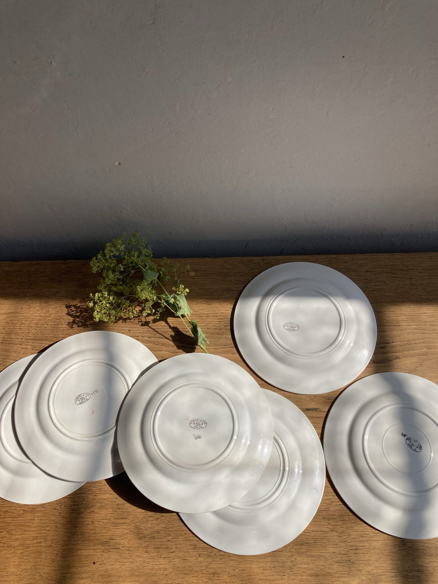 6 assiettes plates en porcelaine Saint Amand