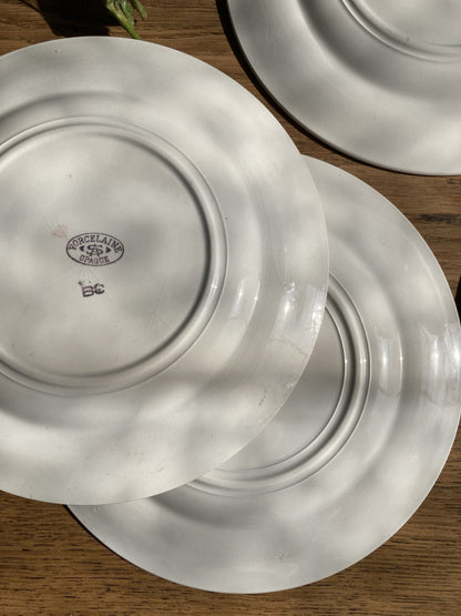 6 assiettes plates en porcelaine Saint Amand