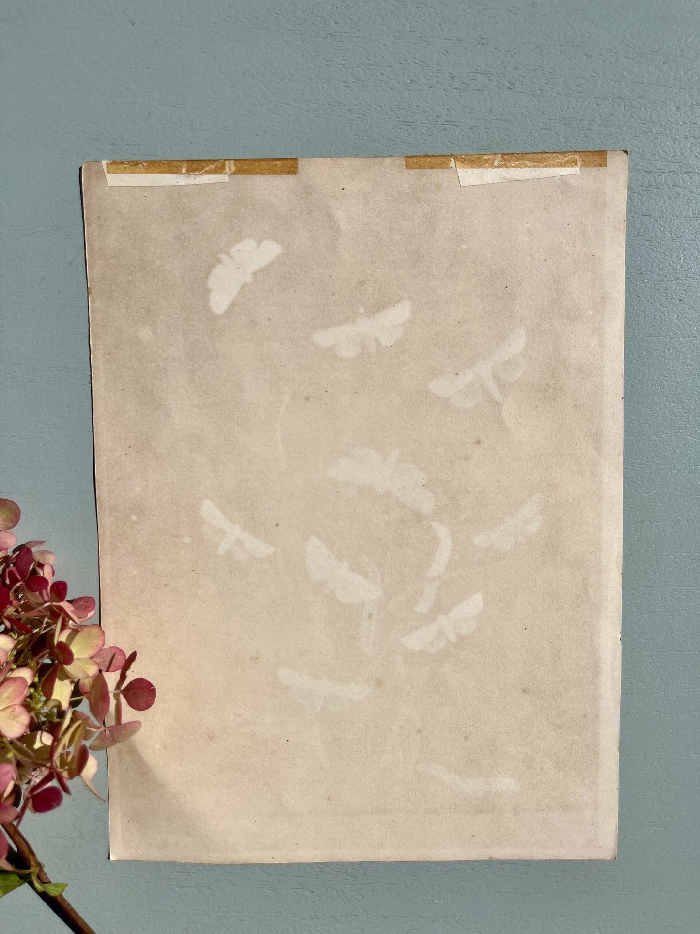 Gravure motifs fleurs et papillons