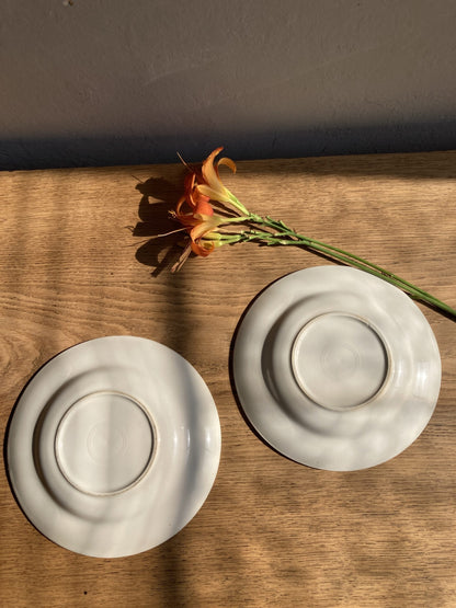 2 assiettes creuses vert d’eau