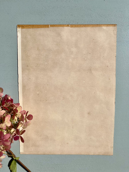 Gravure/ lithographie ancienne