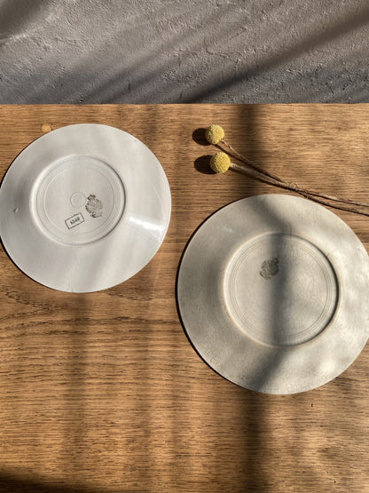 2 assiettes semi-creuses Lunéville